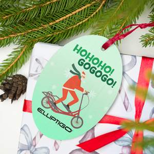 ElliptiGO Ornament